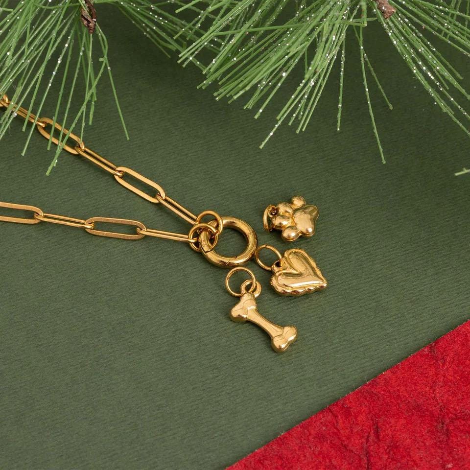 Pet Charm Necklace  - DIY
